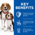 Hill’s Science Plan Puppy & Mother Mousse With Chicken - 12x200g - The Pets Club