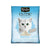 Royal Canin Feline Health Nutrition Dry Kitten Food 10Kg + FREE Kit Cat Classic Clump Cat Litter -10L (Baby Powder) + FREE  Ceramic Pet Bowl