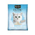 Royal Canin Feline Health Nutrition Dry Kitten Food 10Kg +FREE Kit Cat Classic Clump Cat Litter -10L (Baby Powder) + FREE  Ceramic Pet Bowl