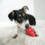 Kong Classic Dog Toy - The Pets Club