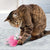 Kong Flingaroo Tutu Mouse Cat Toy (Assorted Color) - The Pets Club