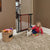 MidWest Steel Pet Gate with Decorative Wood Door - The Pets Club
