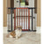 MidWest Steel Pet Gate with Decorative Wood Door - The Pets Club