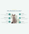 Northland Bentonite Clumbing Cat Litter - Extra Activated Carbon - The Pets Club