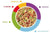 Padovan Grandmix Cocorite - 1kg - The Pets Club