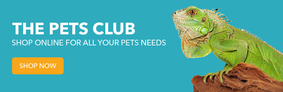 The Pets Club