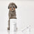 Petkit Waterproof 2 in 1 Trimmer - The Pets Club