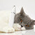 Petkit Waterproof 2 in 1 Trimmer - The Pets Club