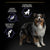 Purina Pro Plan All Size Adult Dog Performance Chicken - 18kg - The Pets Club