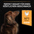 Purina Pro Plan Everyday Nutrition Small&mini Adult Dog Chicken Dry Food - The Pets Club