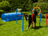 Procyon Agility Set K2