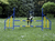 Procyon FCI Professional Metal Hurdle - The Pets Club