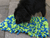 Procyon Interactive Sniffing Mat - Connect - The Pets Club