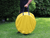 Procyon Professional Agility Tunnel Yellow - The Pets Club