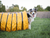 Procyon Professional Sack Tunnel - The Pets Club