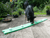 Procyon Sniffing Trainer Green - The Pets Club