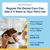 ProDen PlaqueOff Dental Care Bones - Bacon Flavour - 482g - The Pets Club
