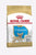 ROYAL CANIN CHIHUAHUA PUPPY DRY FOOD - ThePetsClub