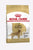 ROYAL CANIN GOLDEN RETRIEVER ADULT DRY FOOD - ThePetsClub