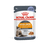 Royal Canin Feline Care Nutrition Intense Beauty Jelly Wet Cat Food - 85g - The Pets Club