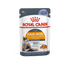 Royal Canin Feline Care Nutrition Intense Beauty Jelly Wet Cat Food - 85g