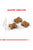 Royal Canin Feline Health Nutrition Dry Kitten Food 10Kg + FREE Kit Cat Classic Clump Cat Litter - 10L (Baby Powder) + FREE Ceramic Pet Bowl - The Pets Club