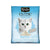 Royal Canin Feline Health Nutrition Dry Kitten Food 10Kg + FREE Kit Cat Classic Clump Cat Litter - 10L (Baby Powder) + FREE Ceramic Pet Bowl - The Pets Club