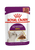 Royal Canin Feline Health Nutrition Sensory Smell Gravy Wet Food - 12x85g - The Pets Club