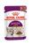 Royal Canin Feline Health Nutrition Sensory Taste Gravy Wet Food - 12x85g - The Pets Club