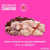 Schesir Born Carnivore Grain Free Oven Baked Dry Cat Chicken & Egg Kitten Food - 1.25kg - The Pets Club