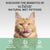 Schesir Complements Cat Wet Food in Jelly Can Chicken With Seabass - 6x70g - The Pets Club