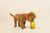 Little Big Paw Dog Dinner For Small and Toy Breed Dogs - 3x150g