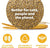 sWheat Scoop Wheat & Corn Natural Cat Litter