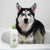 Synergy Labs Veterinary Formula Solutions Triple Strength Dirty Dog Concentrated Shampoo - 503ml - The Pets Club