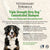 Synergy Labs Veterinary Formula Solutions Triple Strength Dirty Dog Concentrated Shampoo - 503ml - The Pets Club
