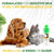TropiClean Gentle Coconut Hypoallergenic Puppy and Kitten Shampoo - 12oz - The Pets Club