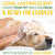 TropiClean Gentle Coconut Hypoallergenic Puppy and Kitten Shampoo - 12oz - The Pets Club