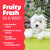 TropiClean Watermelon Refreshing 2 - in - 1 Pet Shampoo & Conditioner for pets - 1 GL - The Pets Club