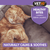 VetIQ Healthy Bites Serene Calming Cat Treats - 65g - The Pets Club