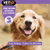 VetIQ Serene Calming Dog Ointment - 50g - The Pets Club