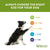 Whimzees Variety Value Box Small - 56 pcs - The Pets Club