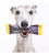 Yora Pet Foods Insect Powered Protein Bar Dog Treat - 35g - The Pets Club
