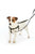 2 HOUNDS DESIGN No Pull Harness & Leash - ThePetsClub
