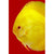 3F&Ruto Discus SPECIAL Premium Mix - ThePetsClub