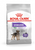 Royal Canin Canine Care Nutrition Mini Sterilized Adult Dry Dog Food