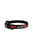 ALCOTT ADVENTURE COLLAR FOR DOGS - ThePetsClub