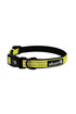 Alcott Adventure Collar for Dogs