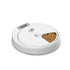 All For Paws 5-Meal Pet Feeder