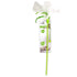 All For Paws Magic Wing Wand - Green