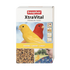 Beaphar Xtravital Canary(New Formula) - 500g